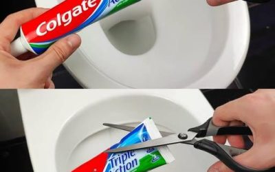 Ein unglaublicher Trick für deine Toilette 🤯, den du wahrscheinlich noch nicht kennst!