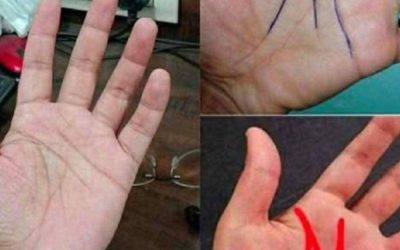 Der Buchstabe M auf deiner Handfläche bedeutet, dass… Mehr anzeigen