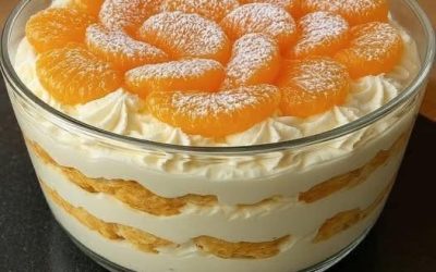 Sooo verführerisch, Mandarinen Tiramisu in 5 Minuten zubereitet