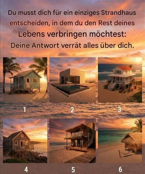 Du musst dir nur ein Strandhaus aussuchen, in dem du den Rest deines Lebens wohnen möchtest.