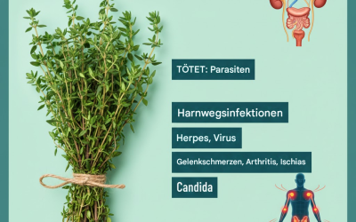 Diese Pflanze ist mehr als nur ein Küchengewürz – sie ist eine der mächtigsten Pflanzen der Erde.
