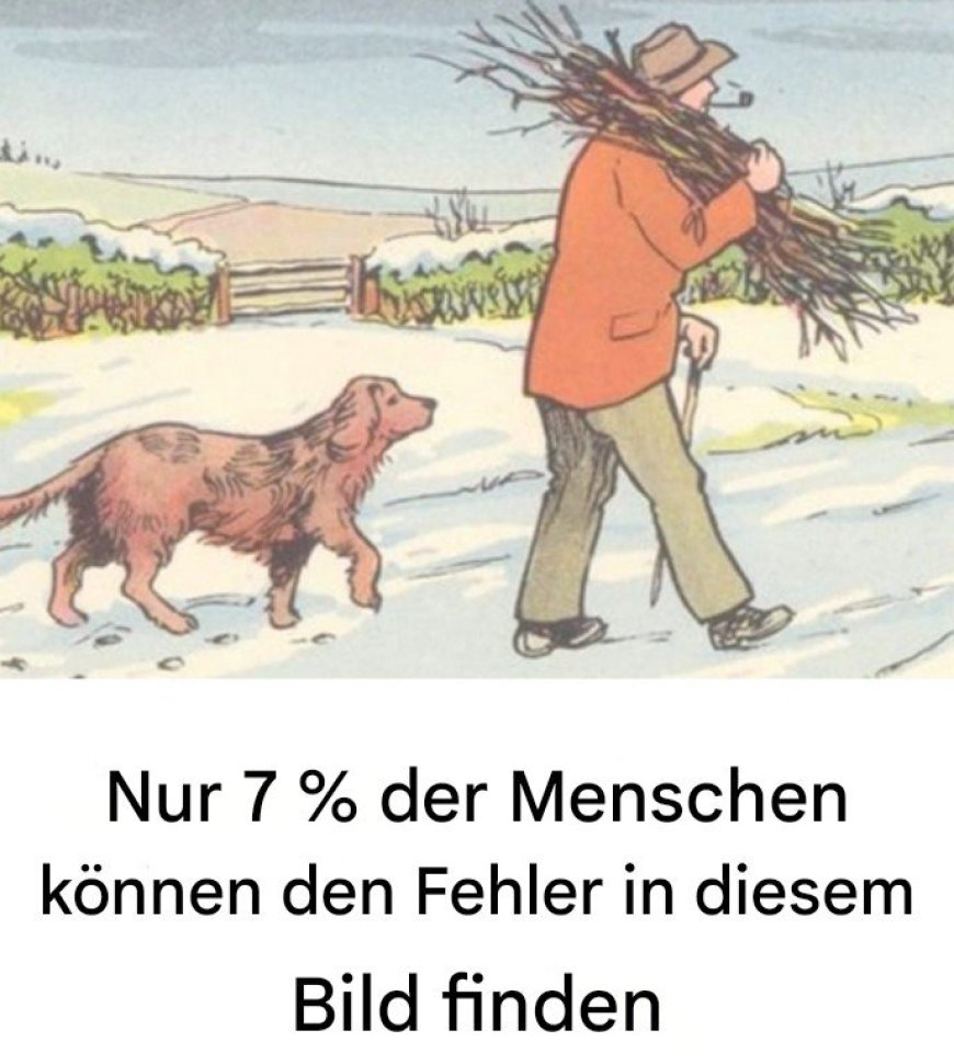 Wo ist der Fehler im Bild? Nur wer sehr aufmerksam ist, kann es finden!