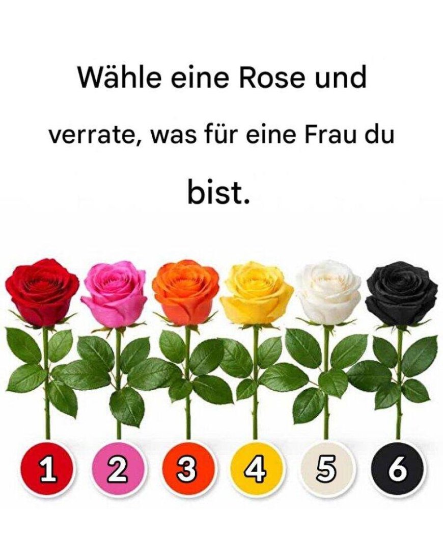 Wähle eine Rose und verrate, was für eine Frau du bist.