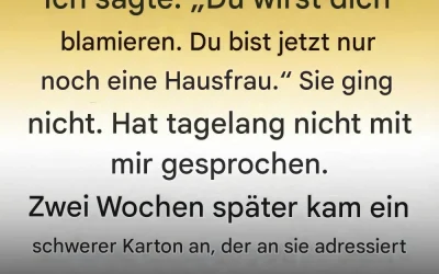 Zehn Jahre lang nannte ich meine Frau nur „Hausfrau“. Dann tauchte ein mysteriöses Paket vor unserer Tür auf, das das 500.000-Dollar-Geheimnis enthüllte, das sie vor mir verborgen hatte.