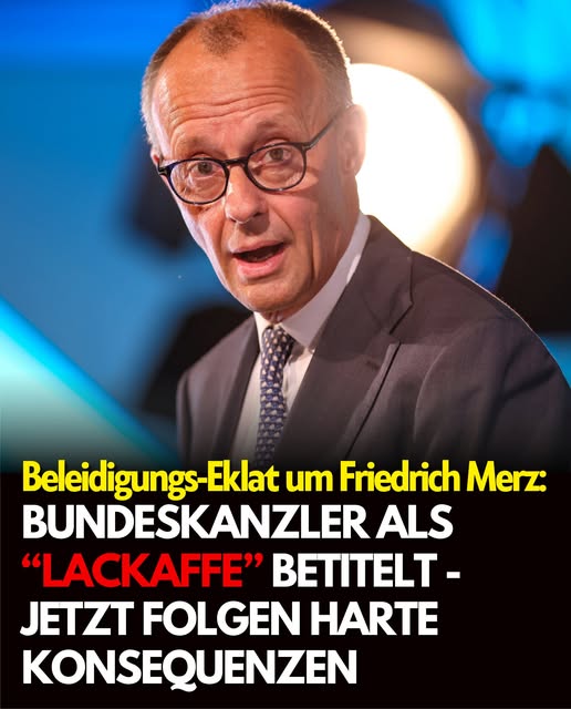 Beleidigungs-Eklat um Friedrich Merz: Nach „Lackaffe“-Spruch folgt jetzt die Strafe