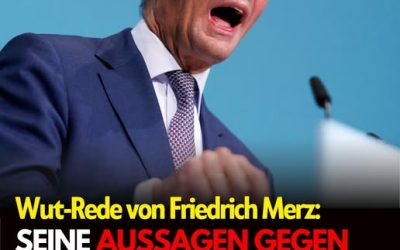 Kanzler Merz schießt gegen deutsche Staatsbürger