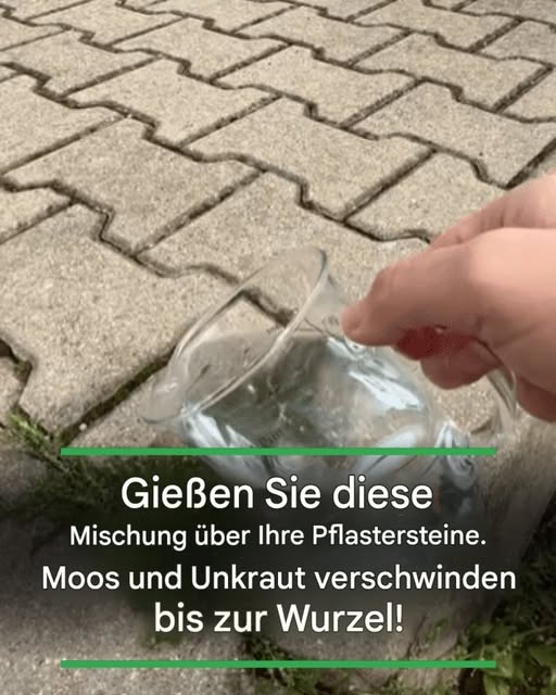 Gießen Sie diese Mischung über Ihre Pflastersteine. Moos und Unkraut verschwinden bis zur Wurzel!