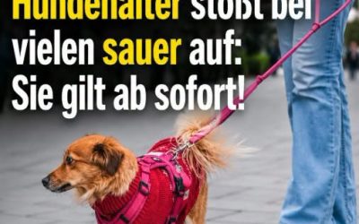 Hundebesitzer: Ab Juli 2026 Pflicht zum Hundeführerschein – was das jetzt bedeutet!
