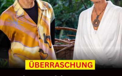 Überraschung: Diese Schlagerstars wollen ins Dschungelcamp