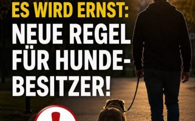 Hundebesitzer: Ab Juli 2026 Pflicht zum Hundeführerschein – was das jetzt bedeutet!