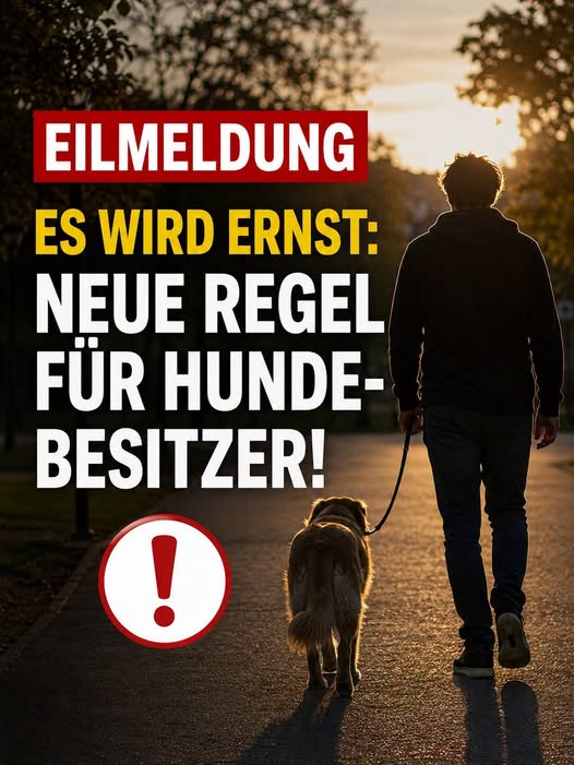 Hundebesitzer: Ab Juli 2026 Pflicht zum Hundeführerschein – was das jetzt bedeutet!
