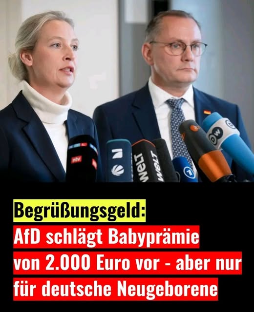 Die AfD in Niedersachsen fordert ein neues
